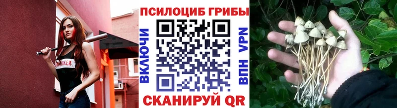 как найти   Снежинск  Псилоцибиновые грибы ЛСД 