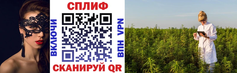 Бошки марихуана OG Kush  KRAKEN вход  Снежинск 